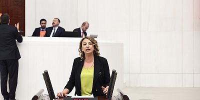 YILDIRIM KARA: İKTİDARIN KENTSEL DÖNÜŞÜM SÜRECİ YAVAŞ İLERLİYOR
