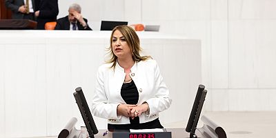 YILDIRIM KARA: LİMONA İHRACAT YASAĞI HATALIDIR VE SONUÇ VERMEYECEKTİR