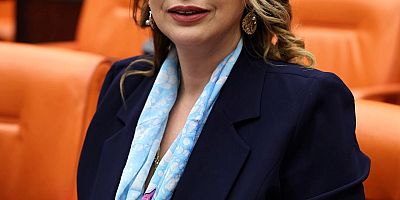 YILDIRIM KARA: OLDUBİTTİYE GETİRİLEN BİR İKLİM KANUNUNU REDDEDİYORUZ