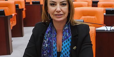 YILDIRIM KARA: RUHSAT VERİLME ORANI SADECE YÜZDE 5